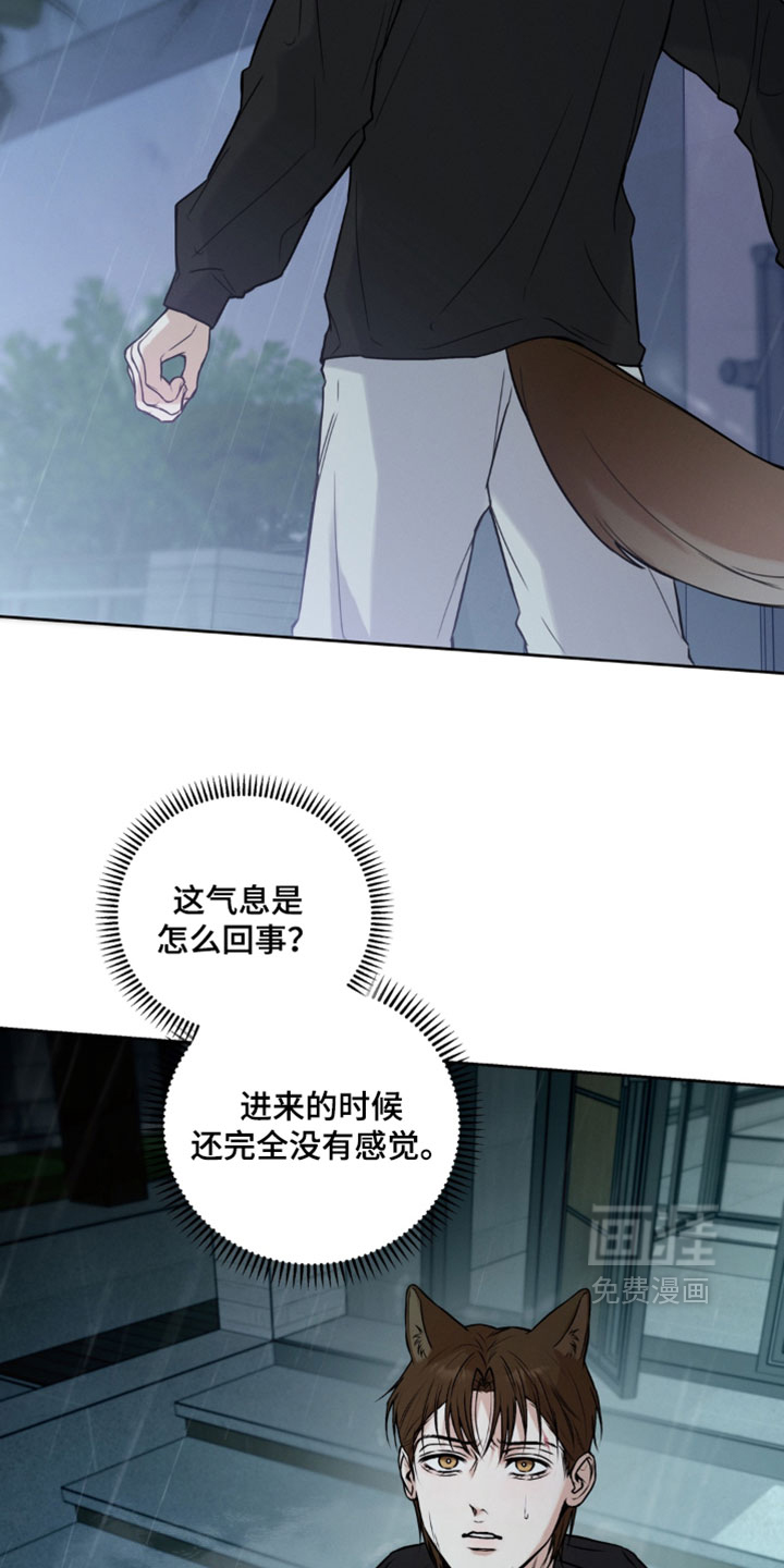 狐祸相依漫画-图16