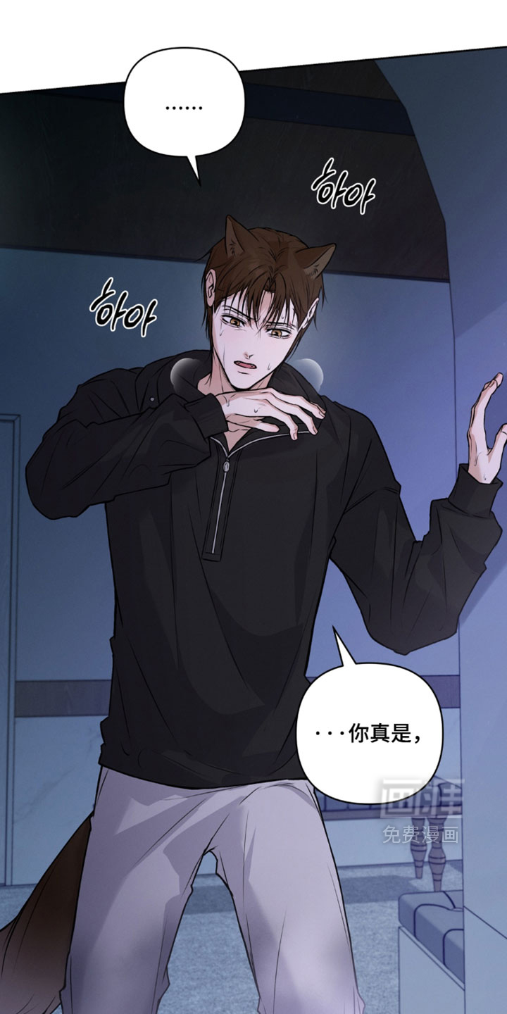 狐祸相依漫画-图4