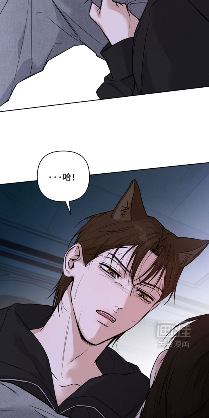 狐祸相依漫画-图11