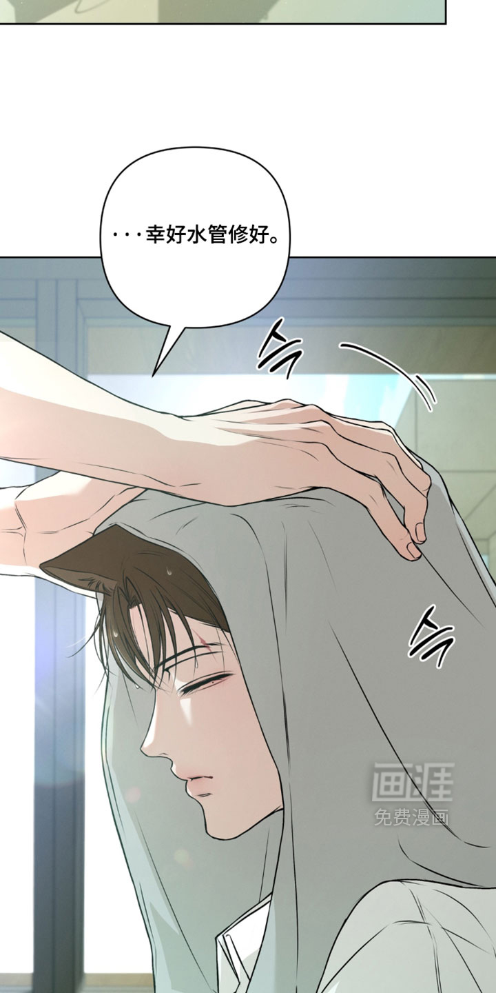 狐祸相依漫画-图1