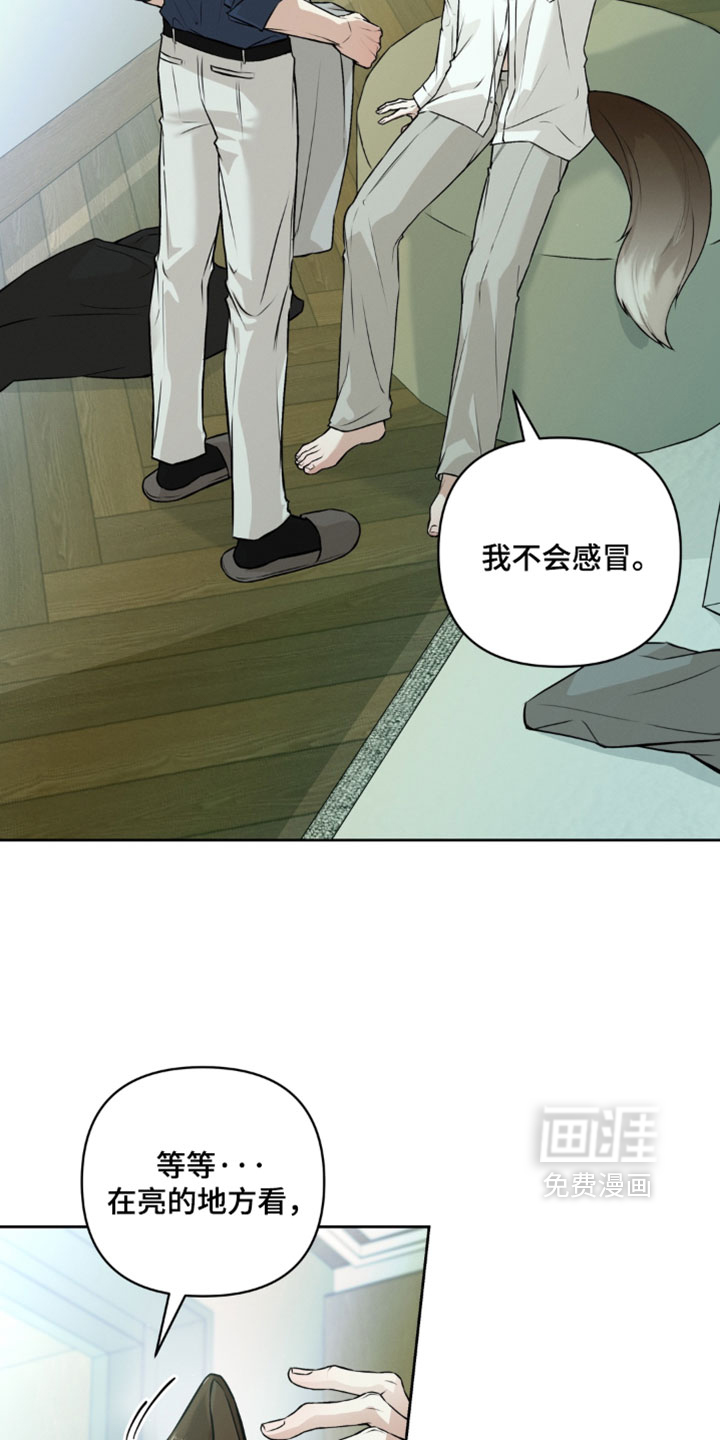 狐祸相依漫画-图3