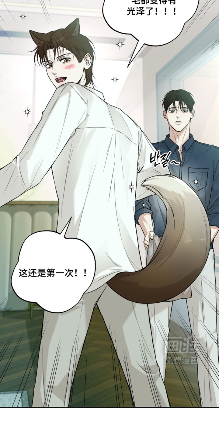 狐祸相依漫画-图5