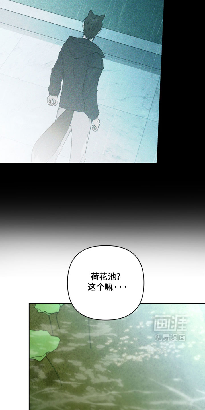 狐祸相依漫画-图21