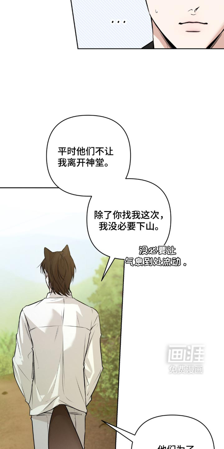 狐祸相依漫画-图4