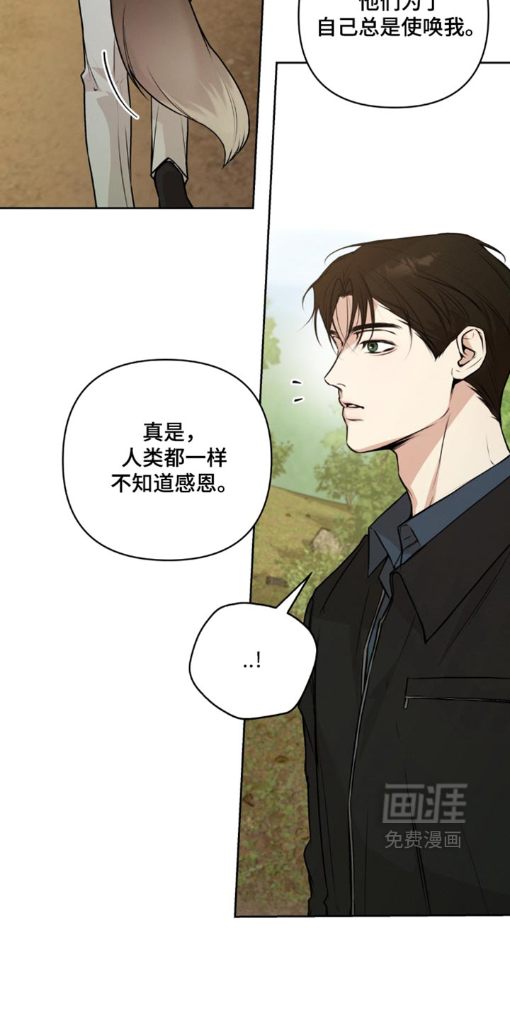 狐祸相依漫画-图5
