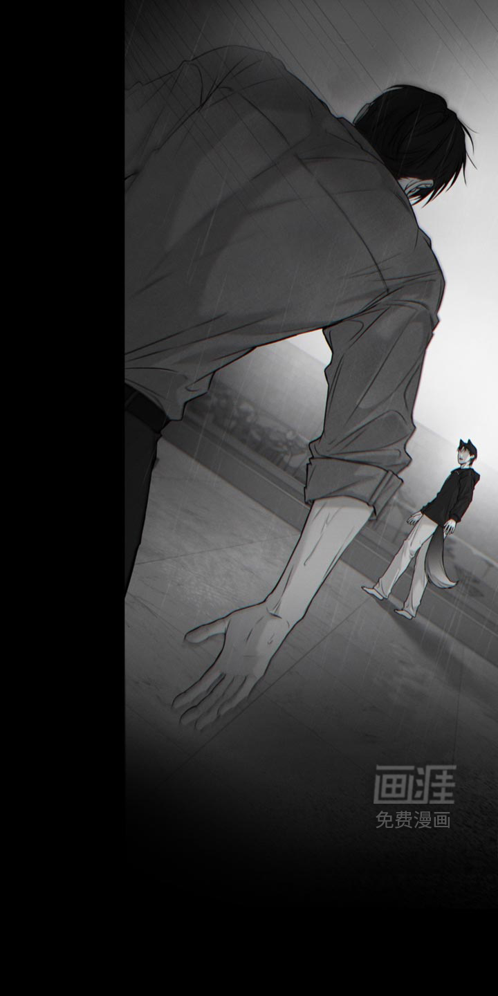 狐祸相依漫画-图7