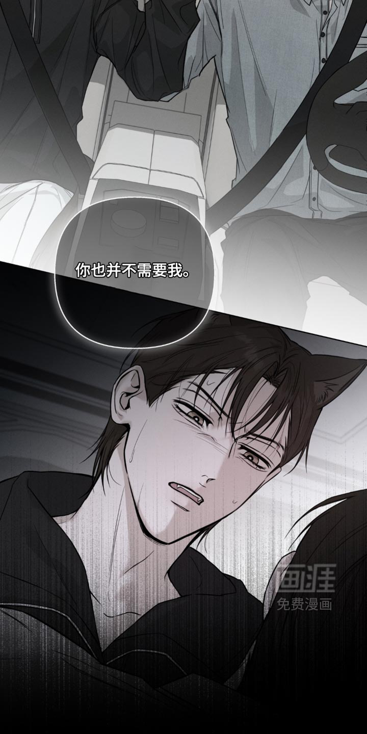 狐祸相依漫画-图9