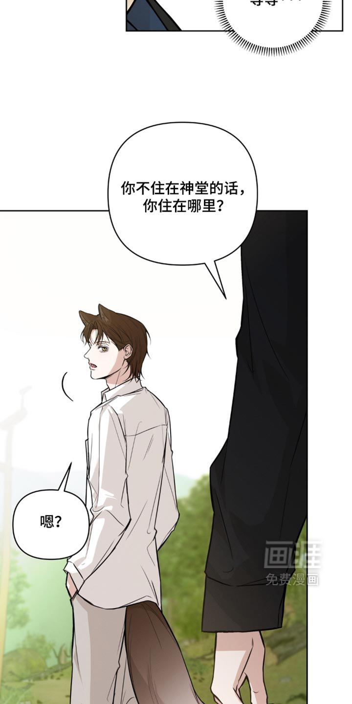 狐祸相依漫画-图12