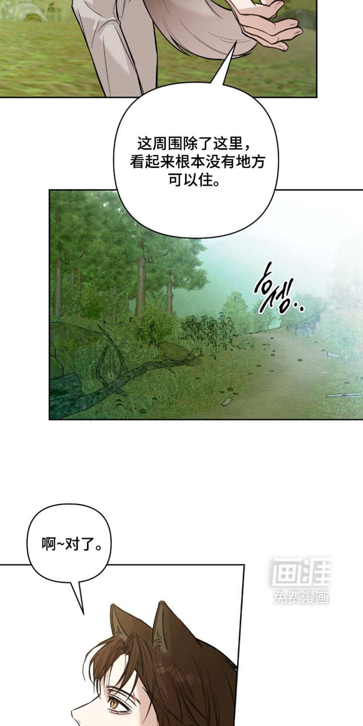 狐祸相依漫画-图13