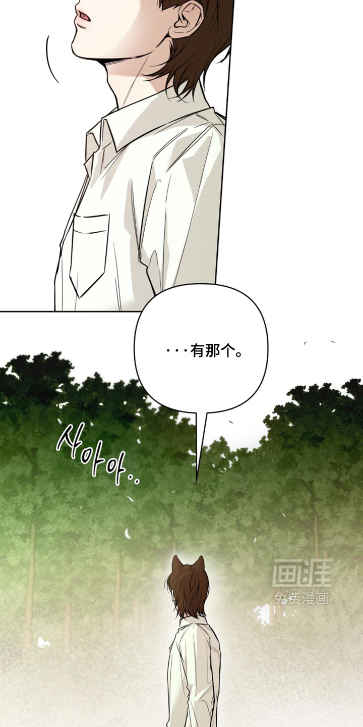 狐祸相依漫画-图14
