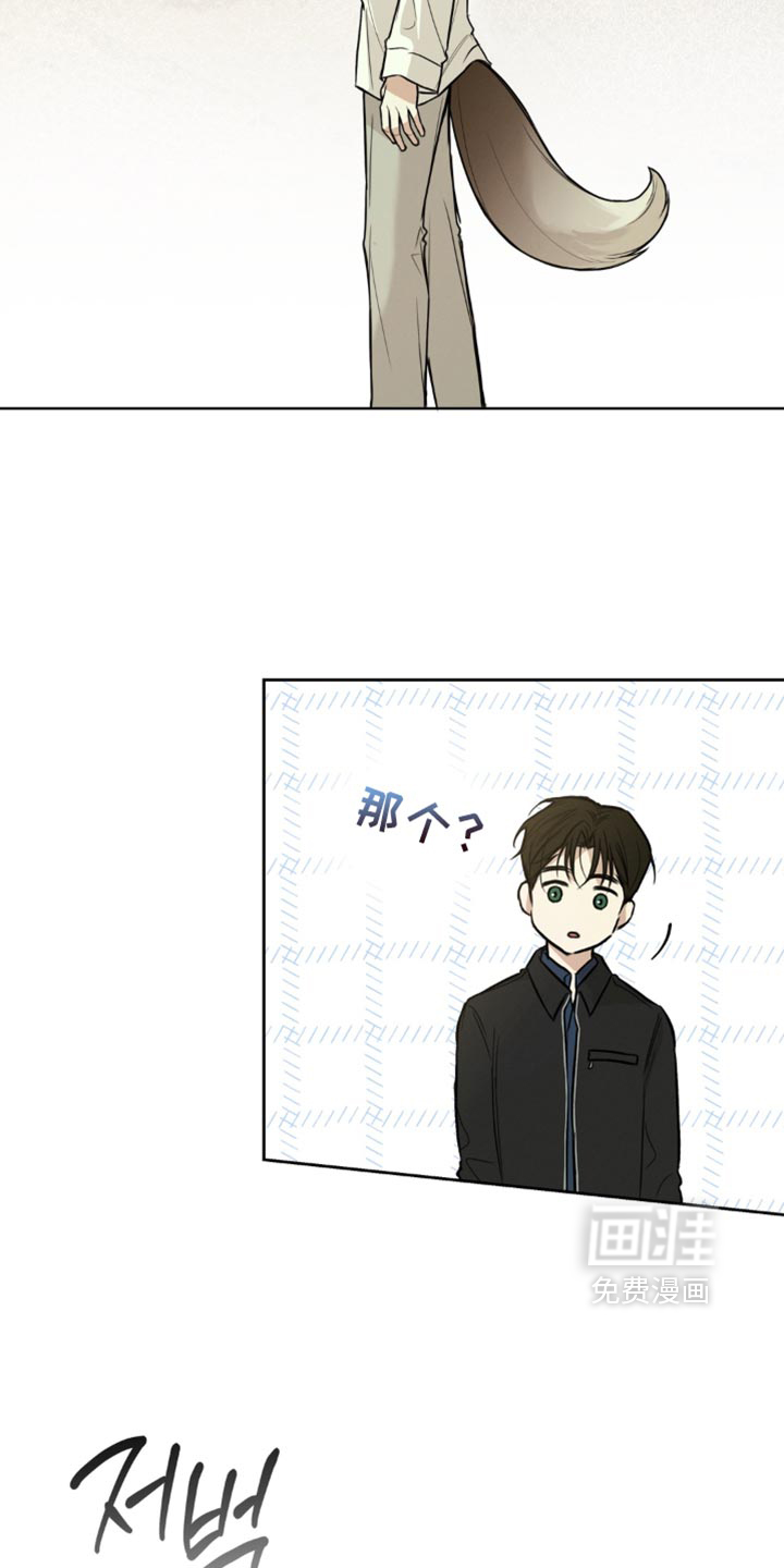 狐祸相依漫画-图15