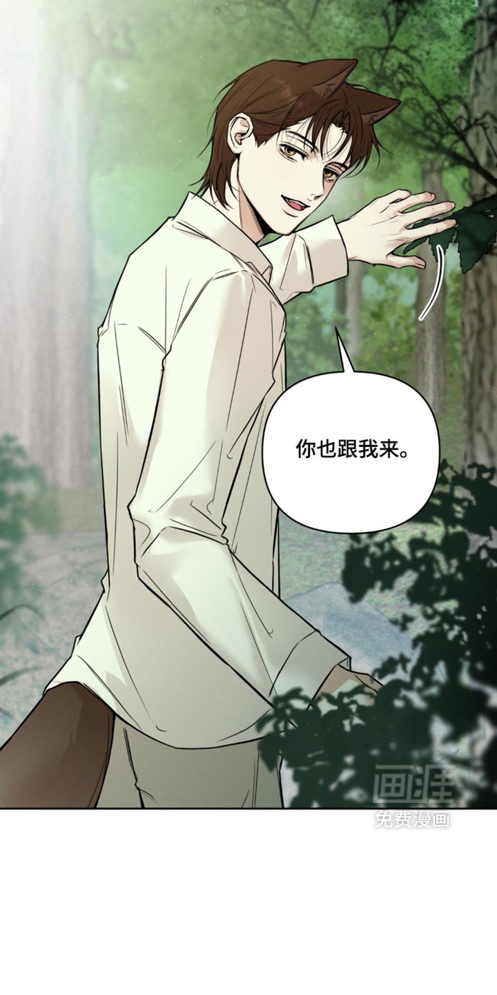 狐祸相依漫画-图19