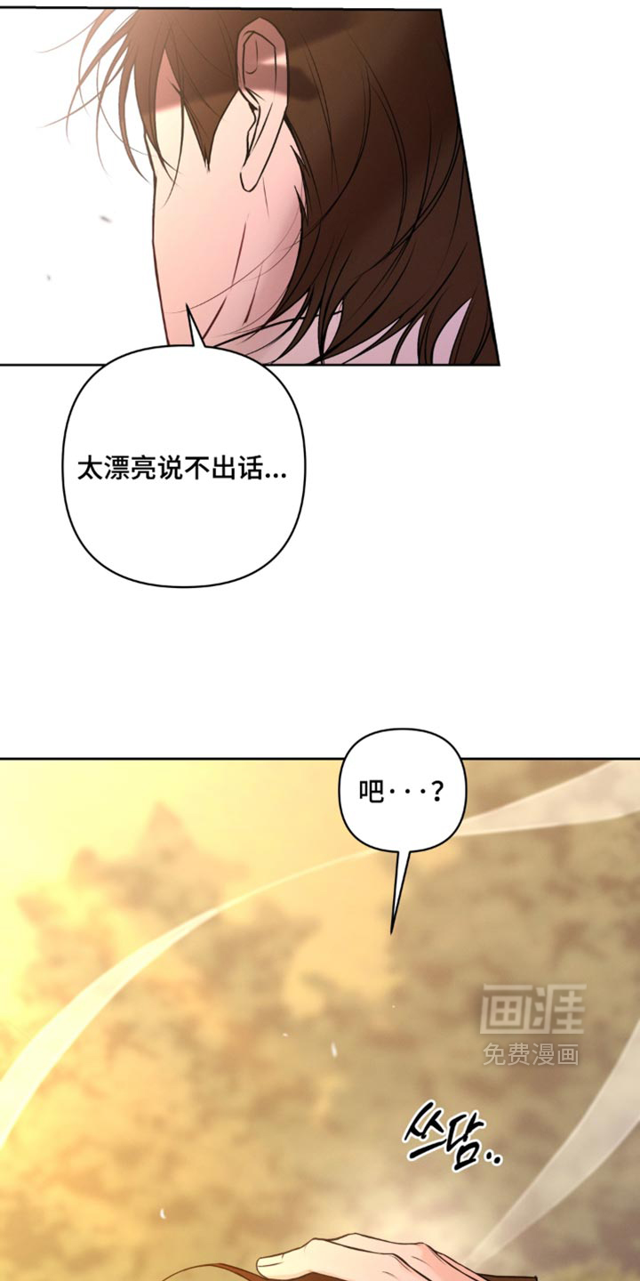 狐祸相依漫画-图14
