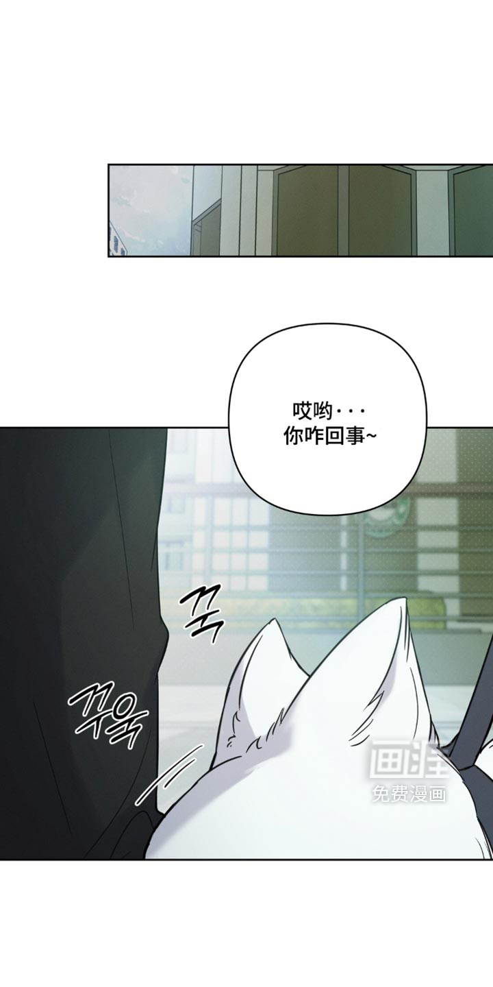 狐祸相依第21话第1页