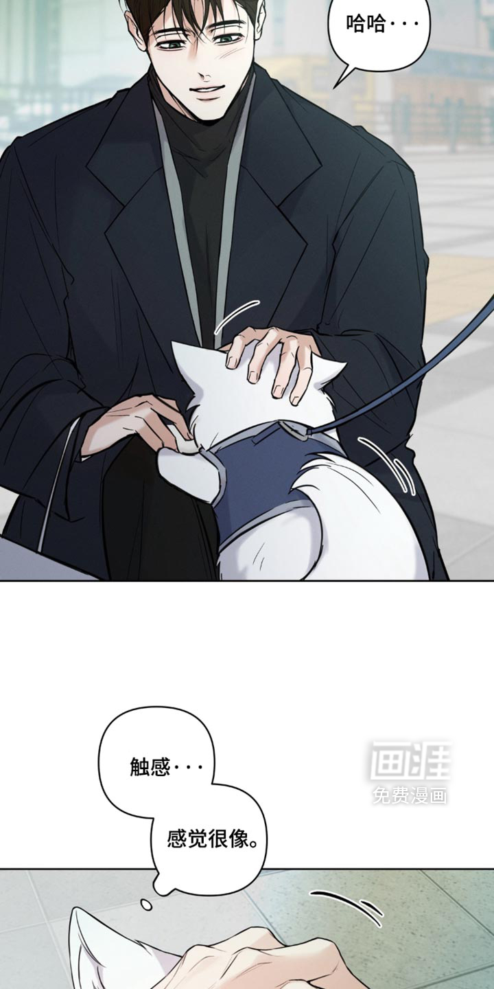 狐祸相依漫画-图3