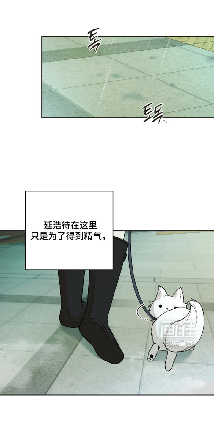 狐祸相依漫画-图14
