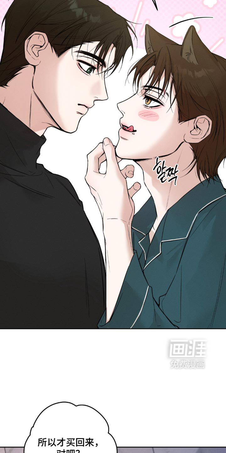 狐祸相依漫画-图23