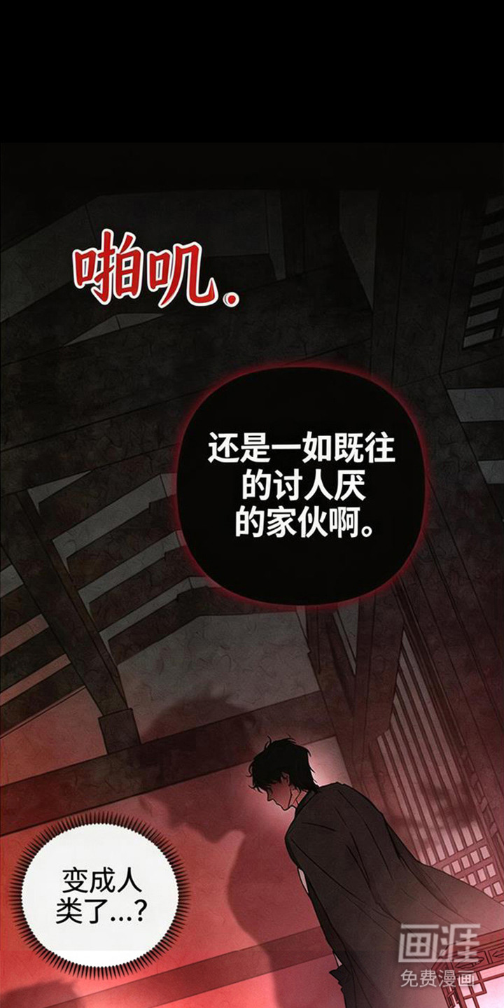 狐祸相依第3话第1页