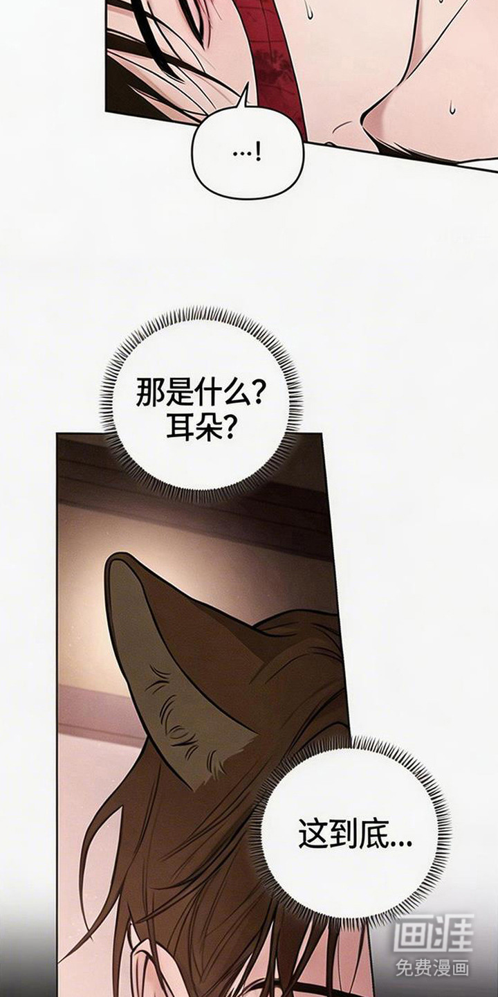 狐祸相依漫画-图3