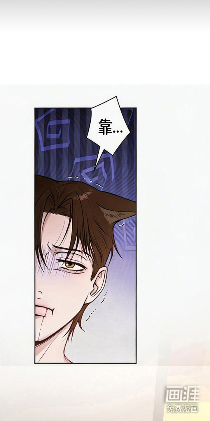 狐祸相依漫画-图7