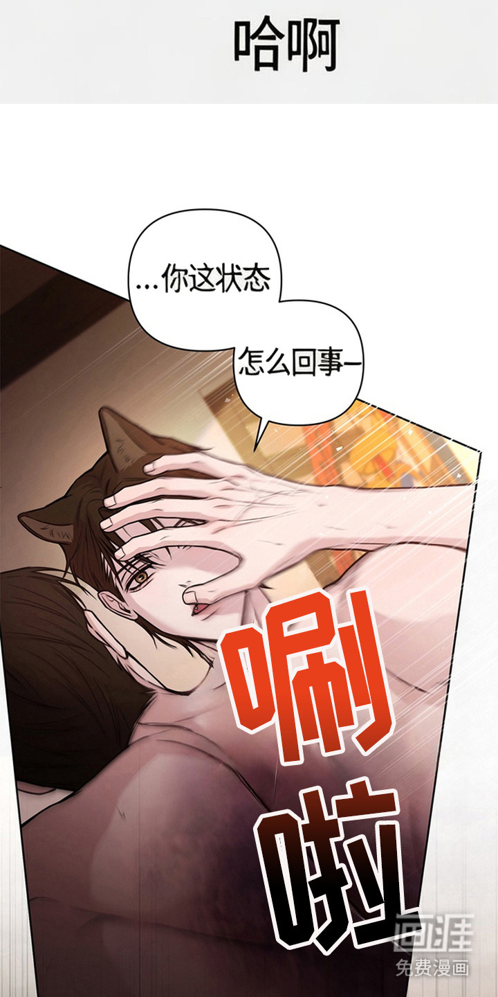 狐祸相依漫画-图11