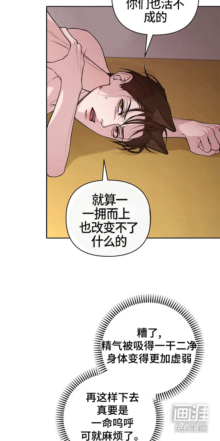 狐祸相依漫画-图17