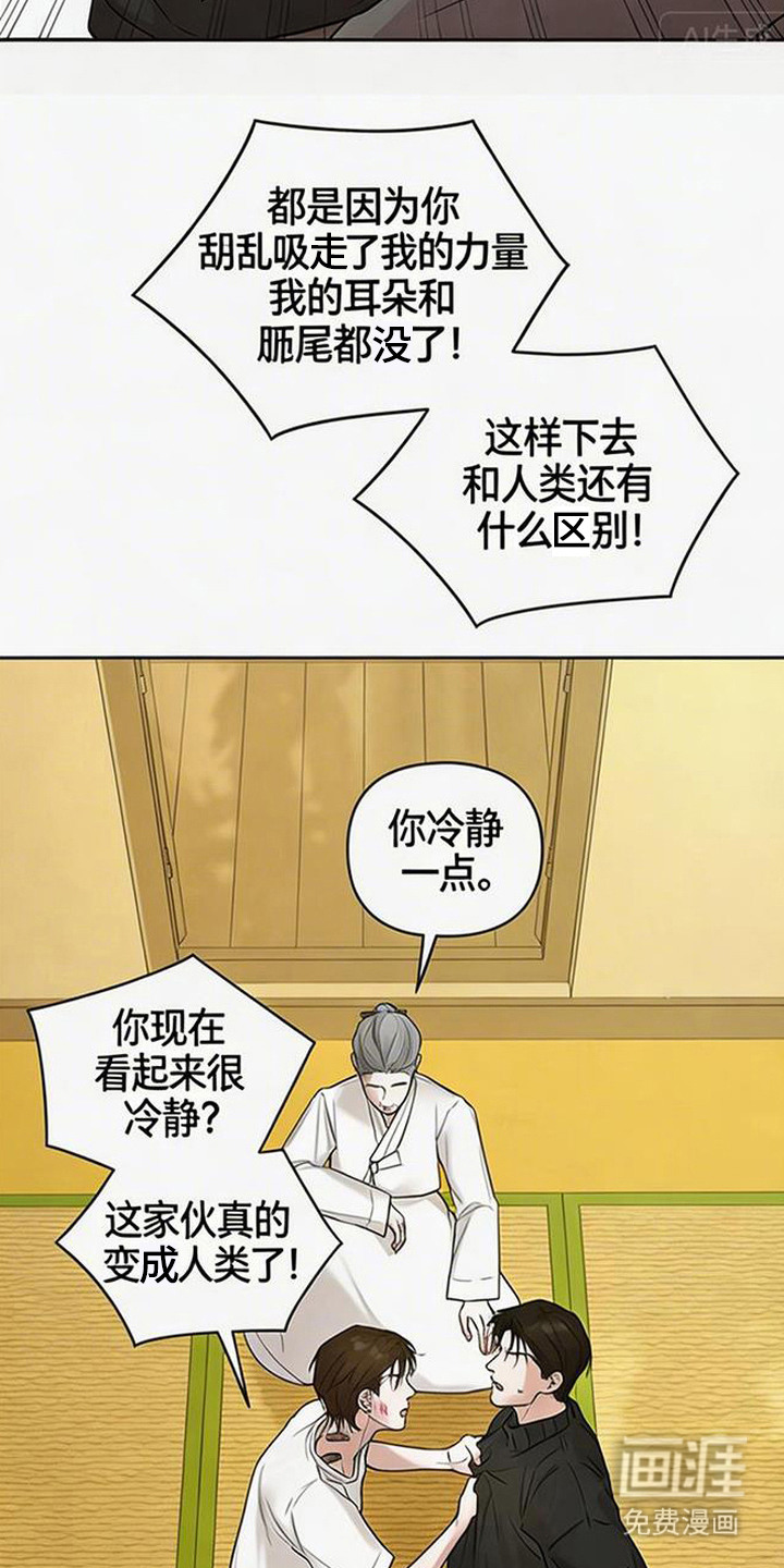 狐祸相依漫画-图14