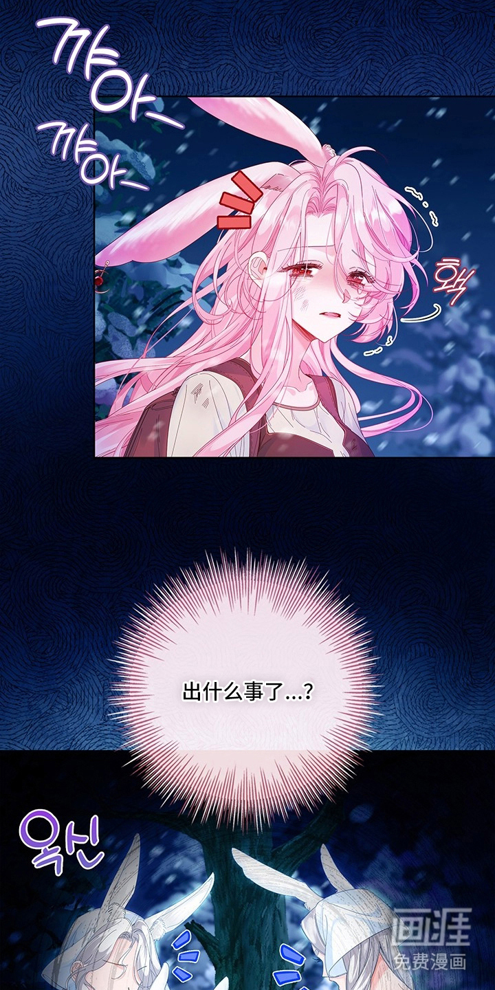 黑狼公爵的兔子漫画-图3