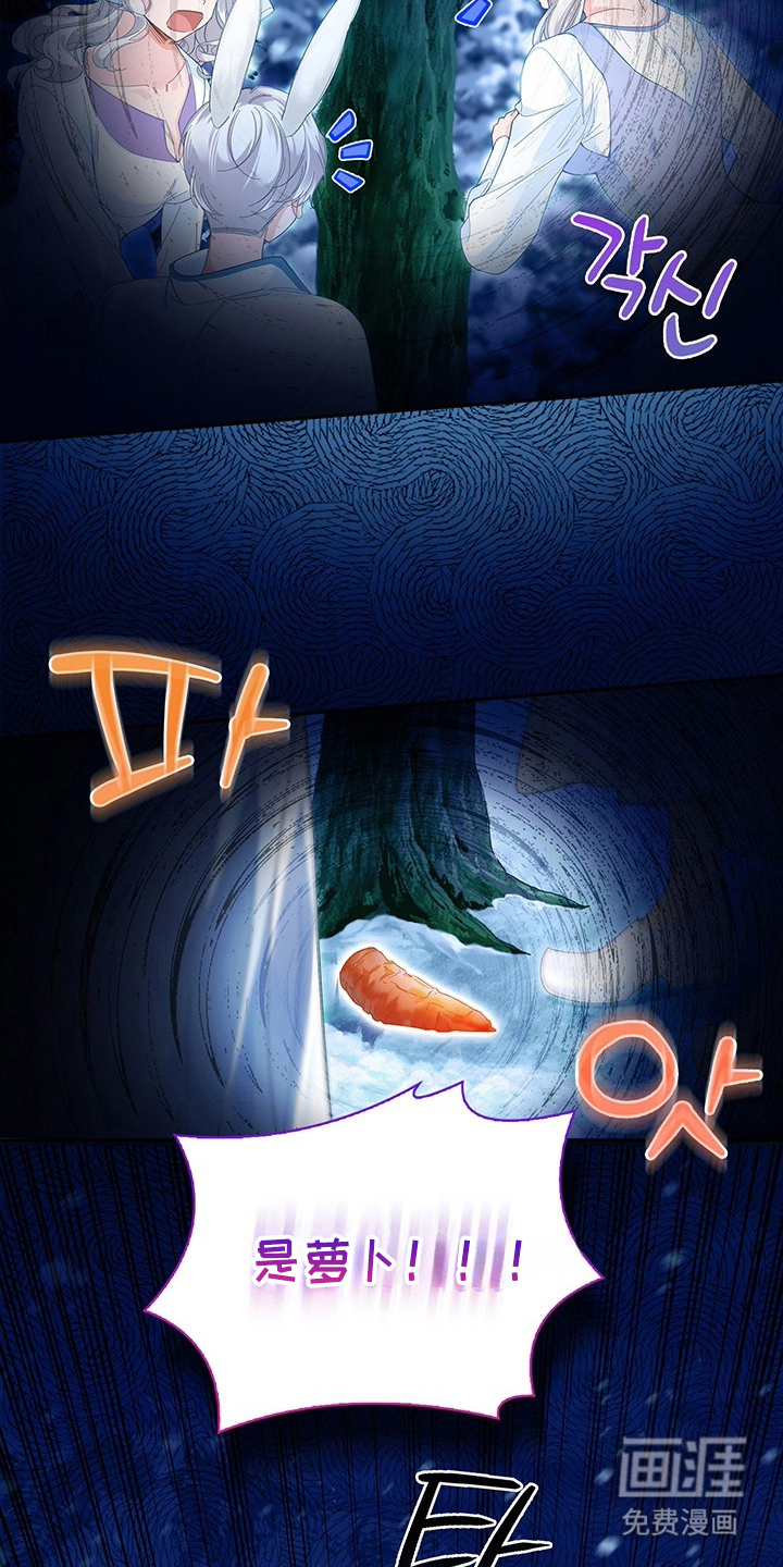 黑狼公爵的兔子漫画-图4