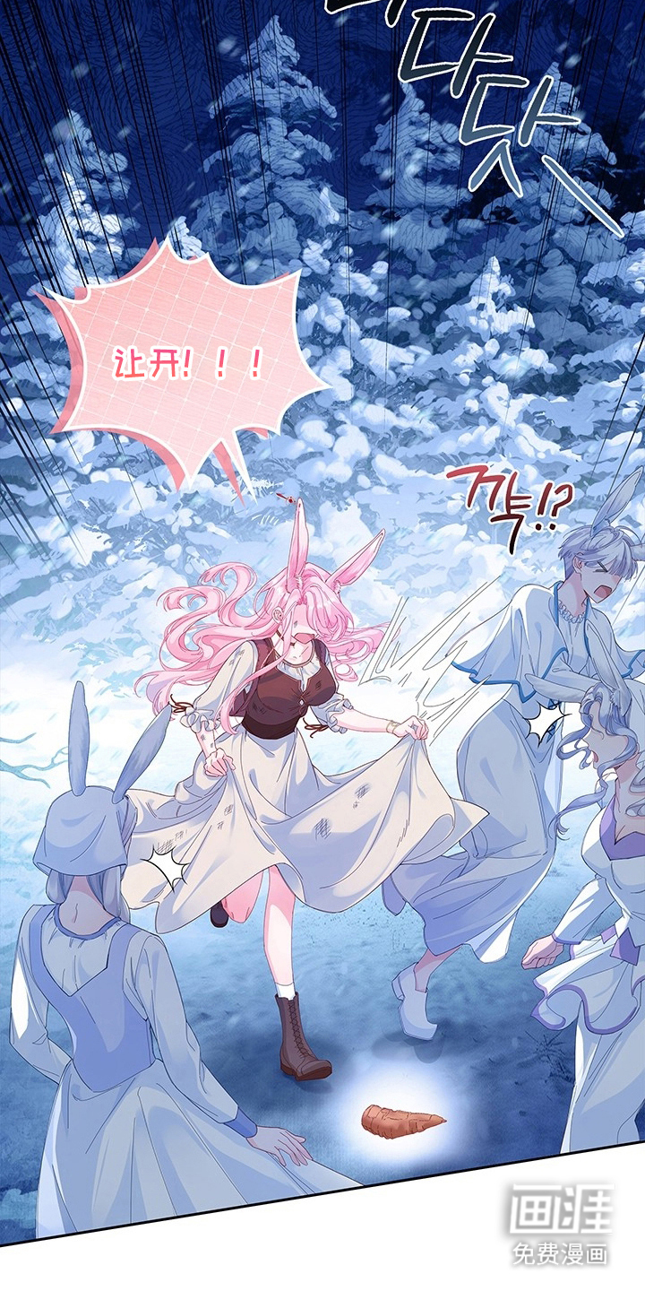 黑狼公爵的兔子漫画-图5