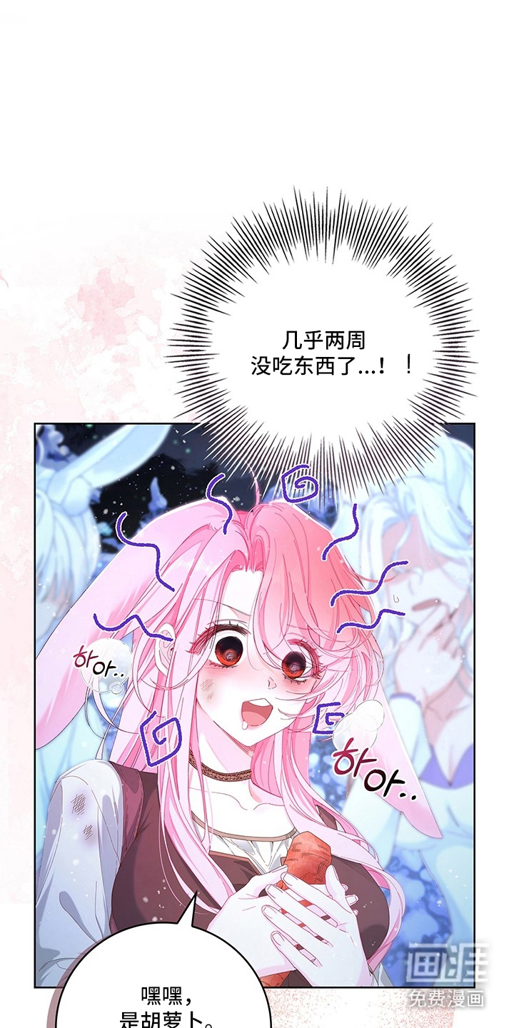 黑狼公爵的兔子漫画-图6