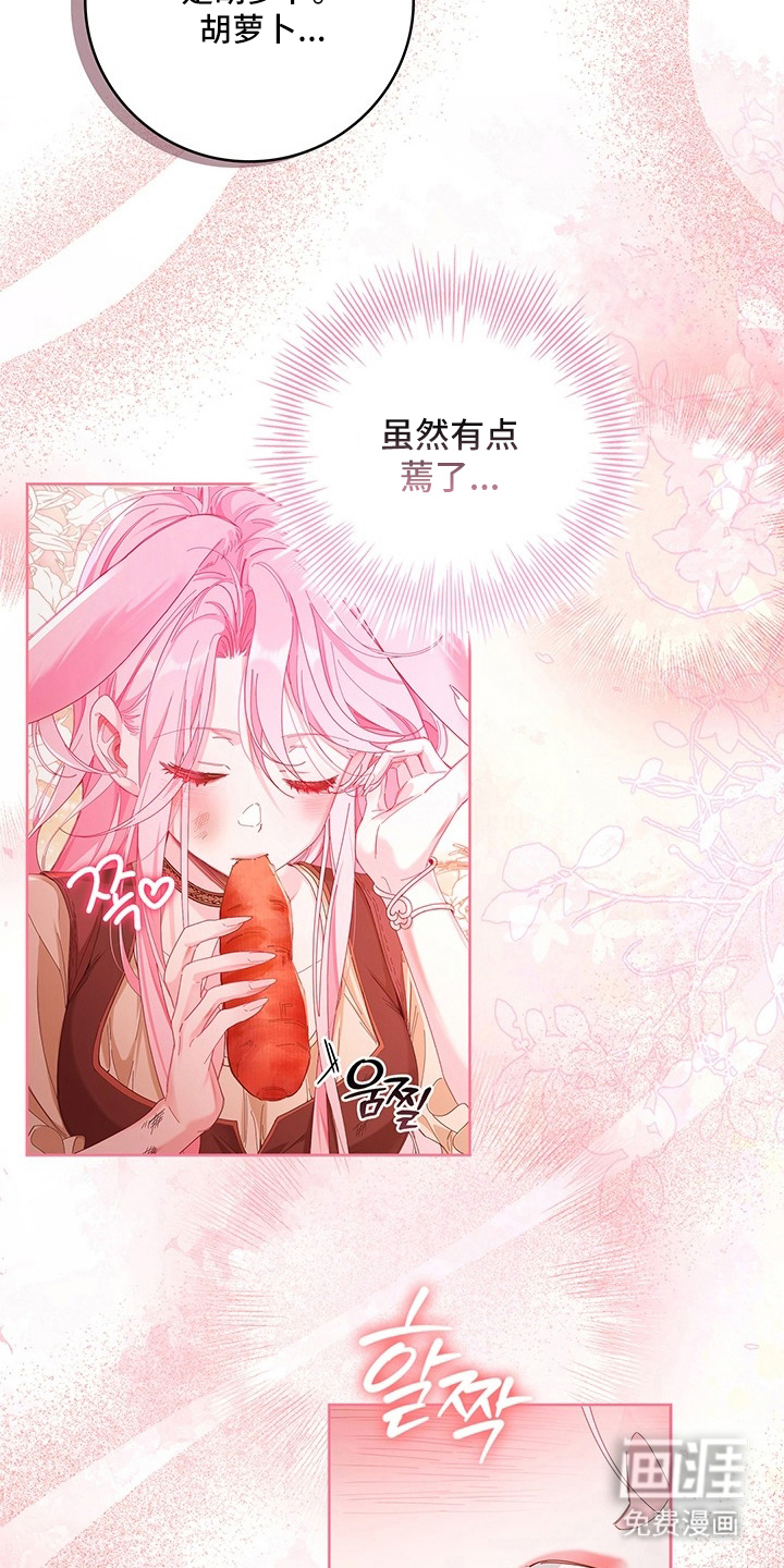 黑狼公爵的兔子漫画-图7