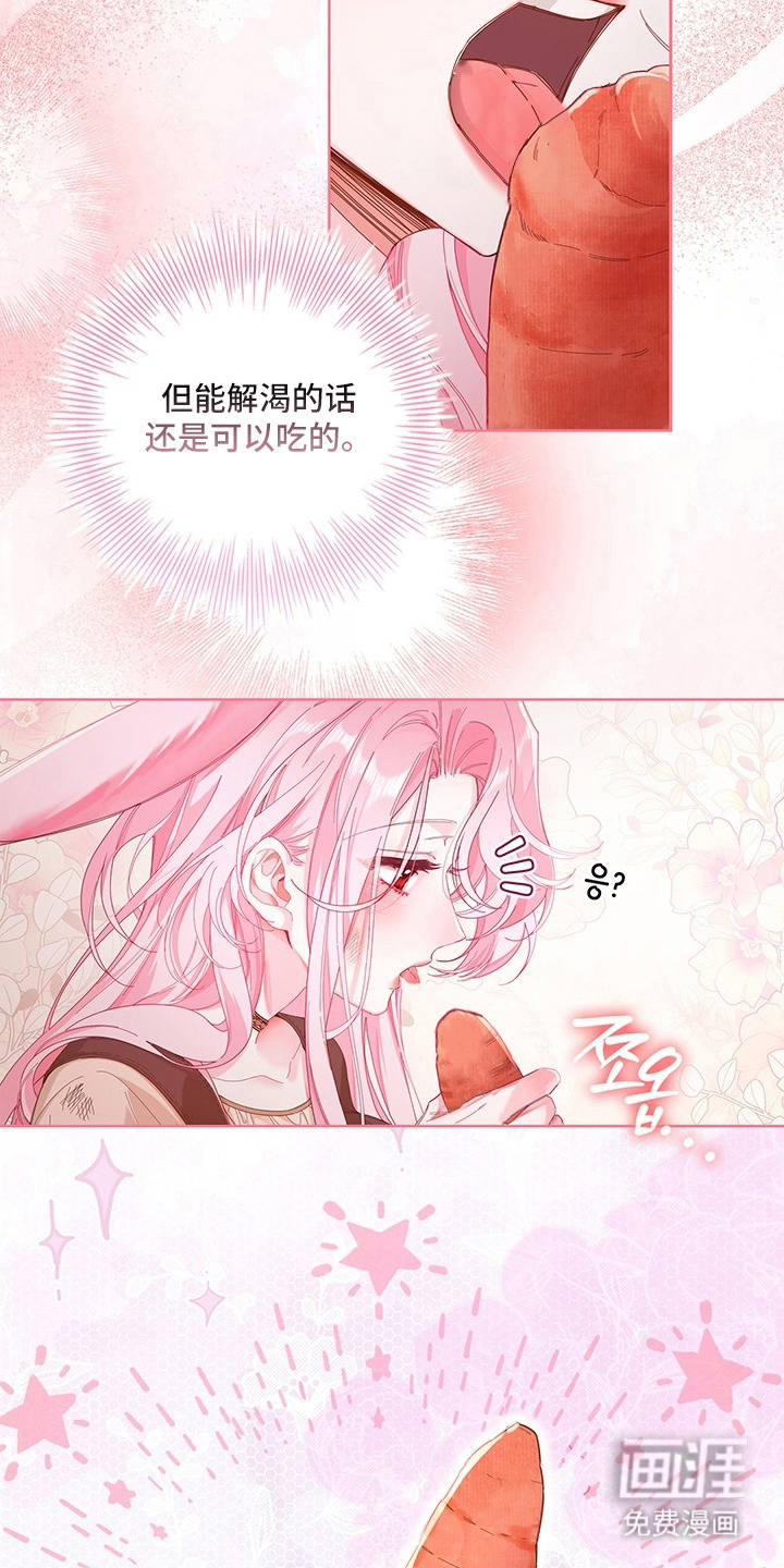 黑狼公爵的兔子漫画-图8