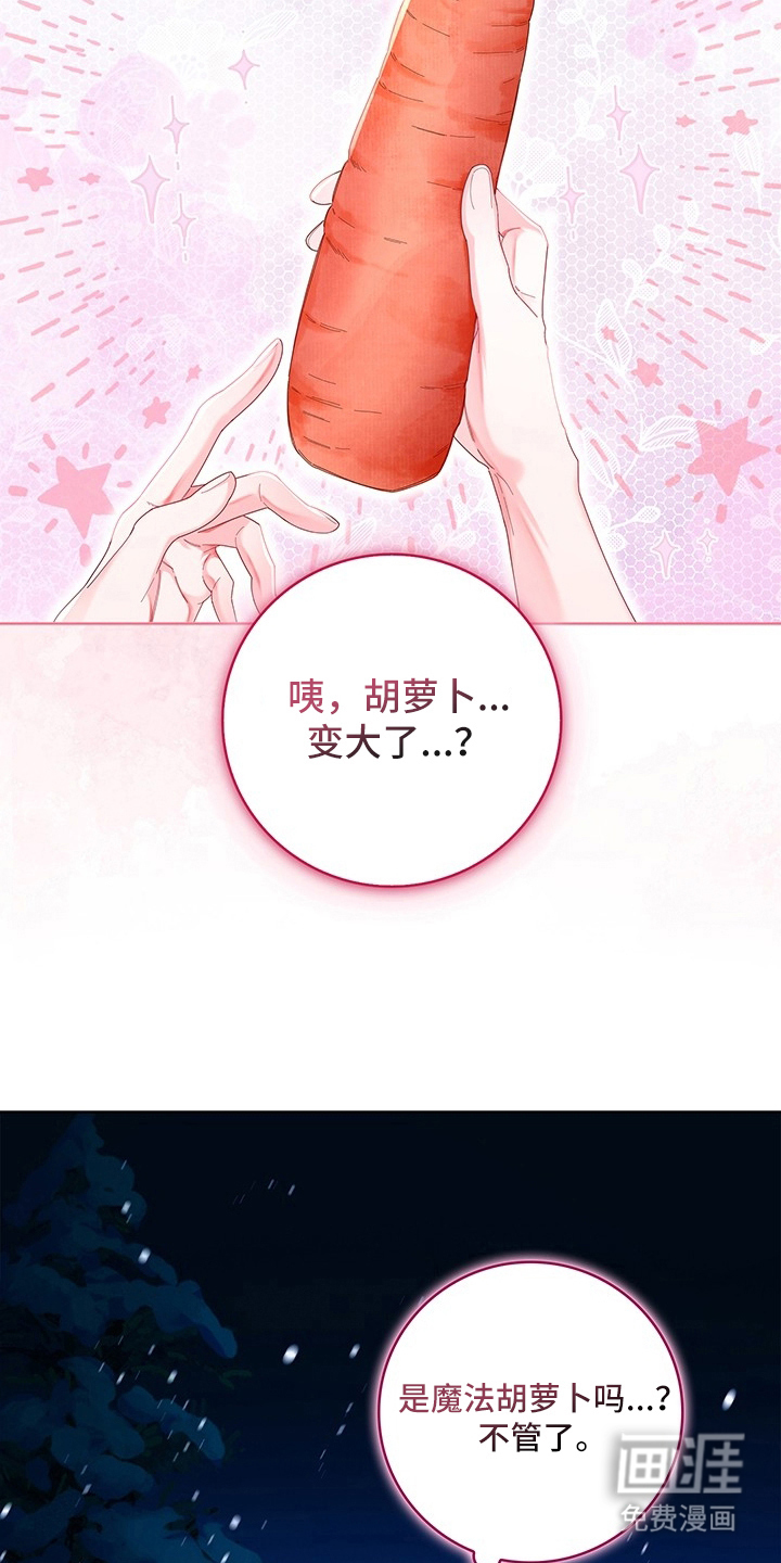 黑狼公爵的兔子漫画-图9