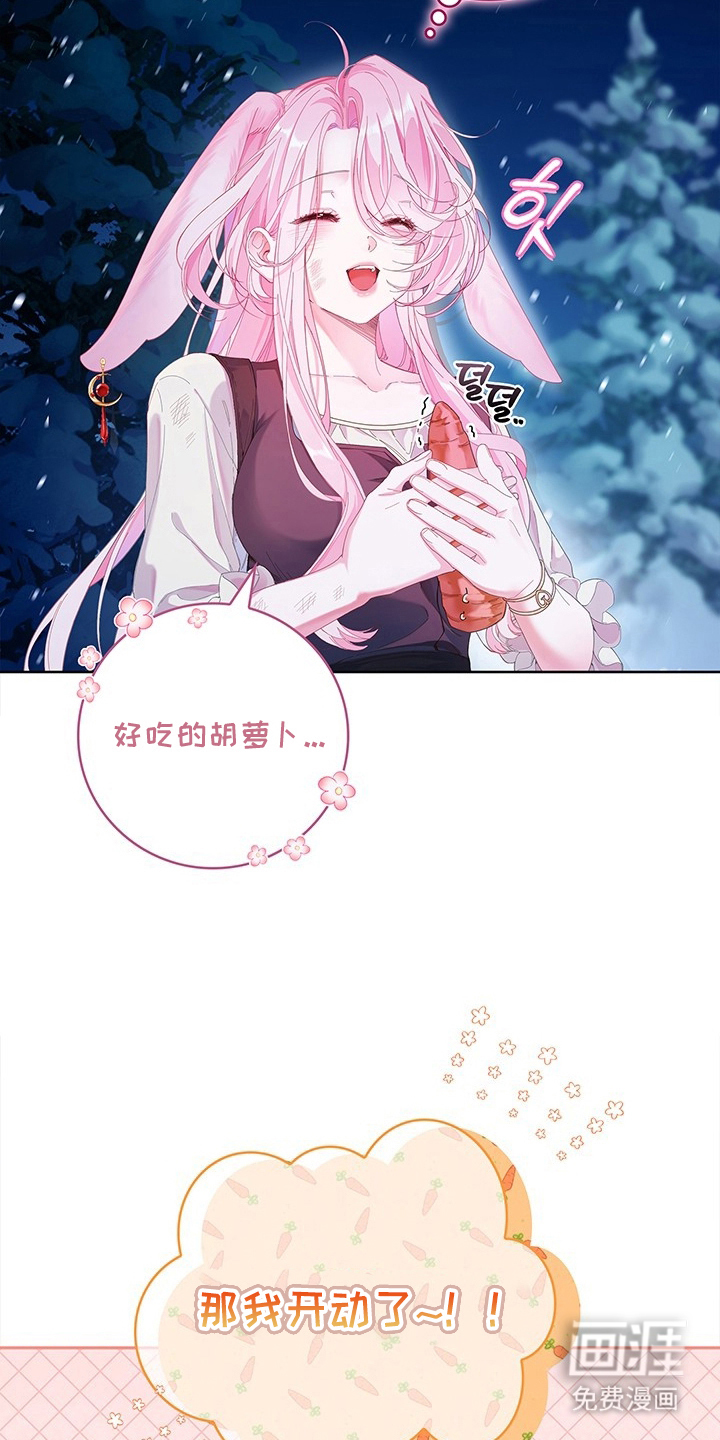 黑狼公爵的兔子漫画-图10