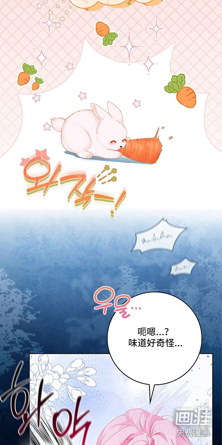 黑狼公爵的兔子漫画-图11