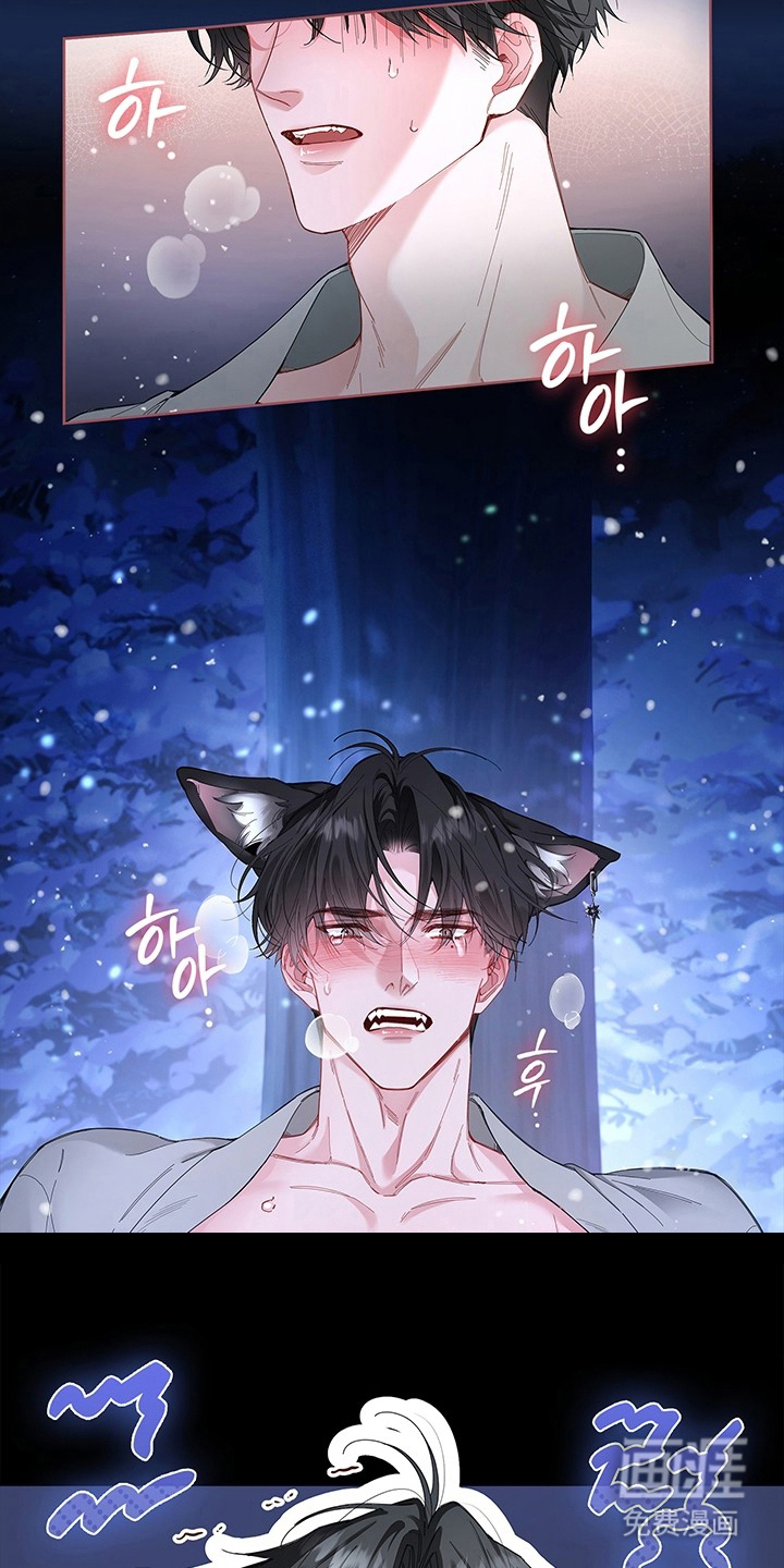 黑狼公爵的兔子漫画-图14