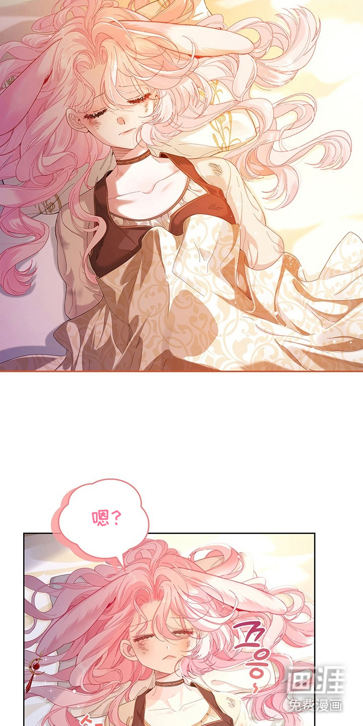 黑狼公爵的兔子漫画-图18