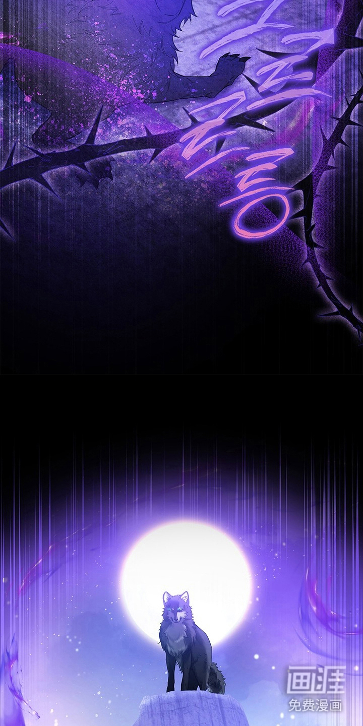 preload