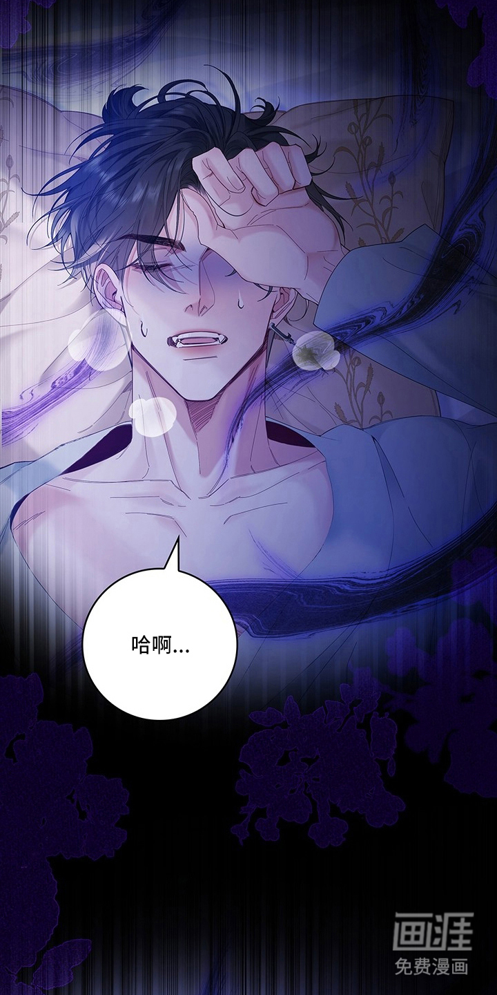 黑狼公爵的兔子漫画-图5