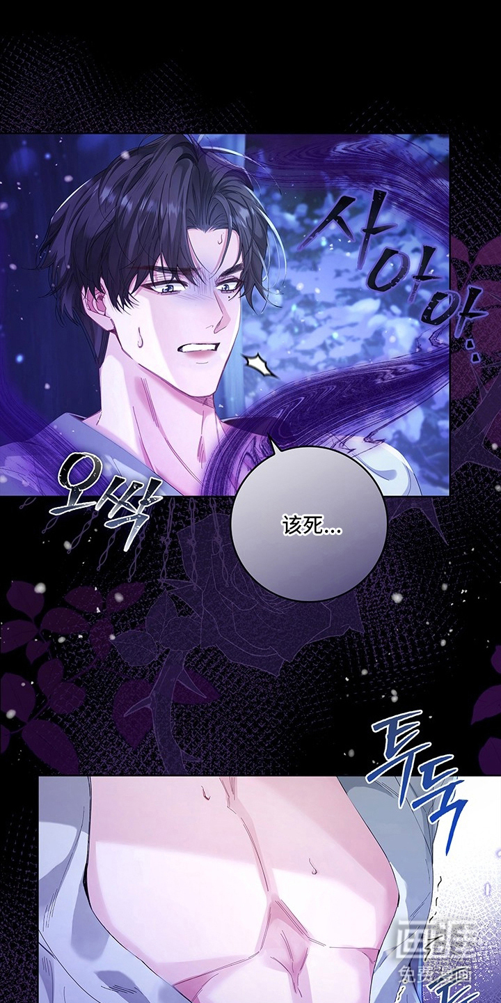 黑狼公爵的兔子漫画-图17