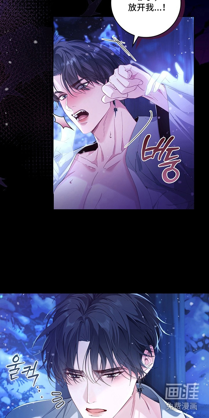 黑狼公爵的兔子漫画-图20