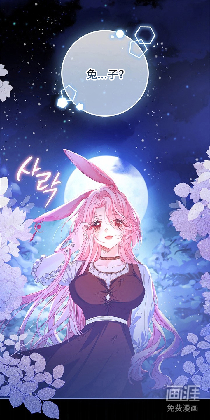 黑狼公爵的兔子漫画-图22