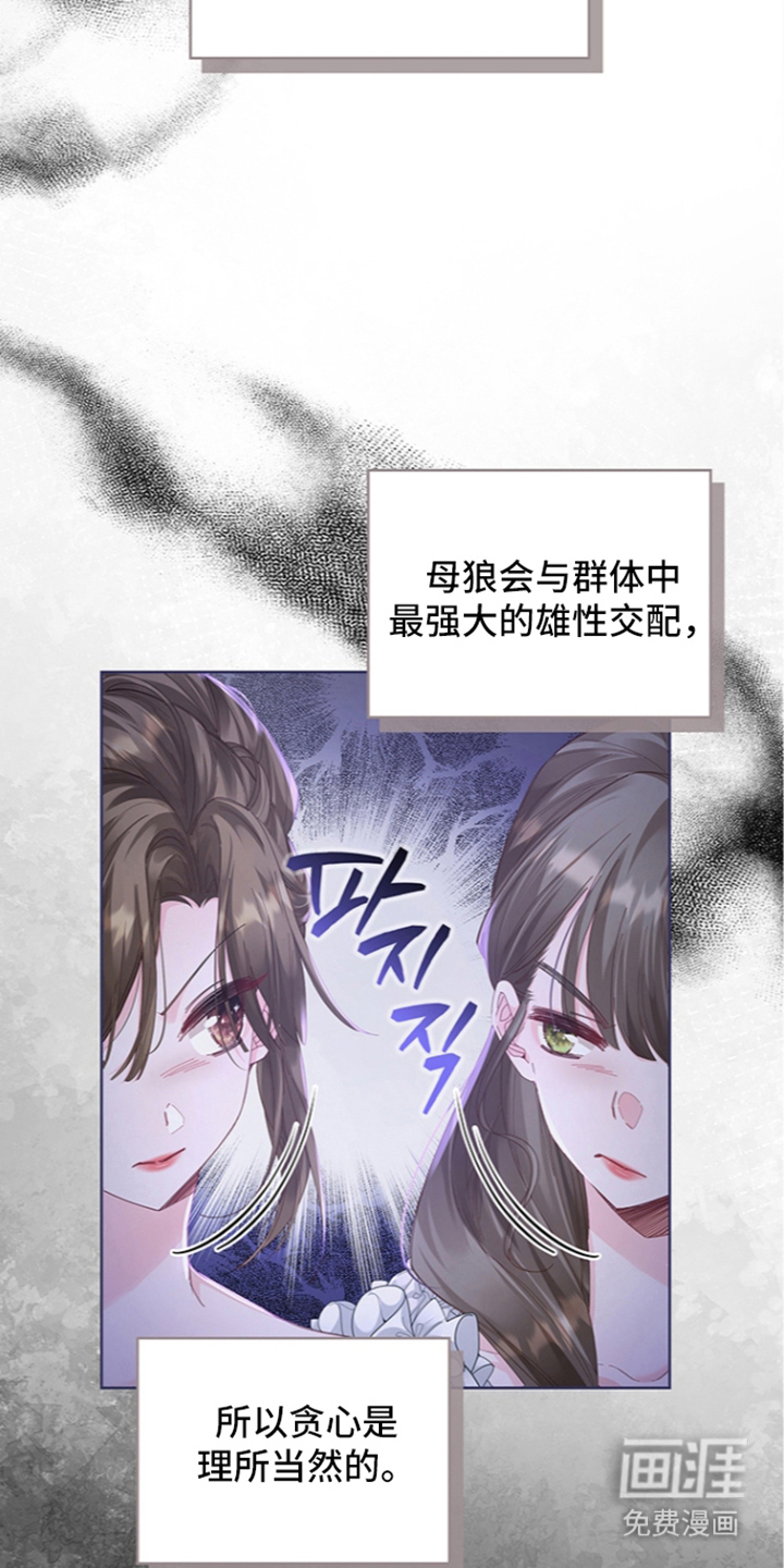 黑狼公爵的兔子漫画-图9