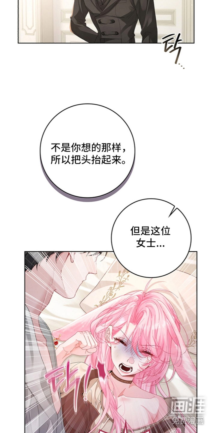 黑狼公爵的兔子漫画-图16
