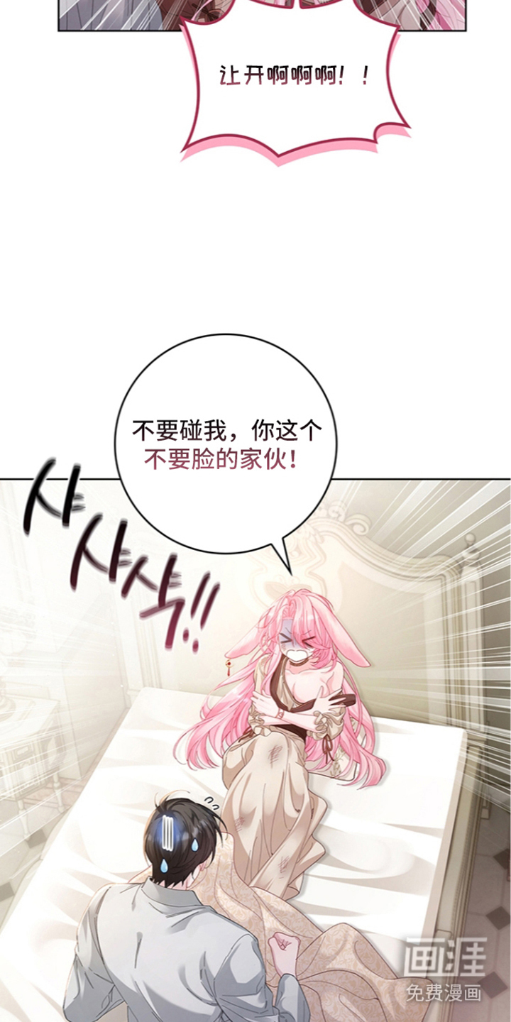 黑狼公爵的兔子漫画-图17