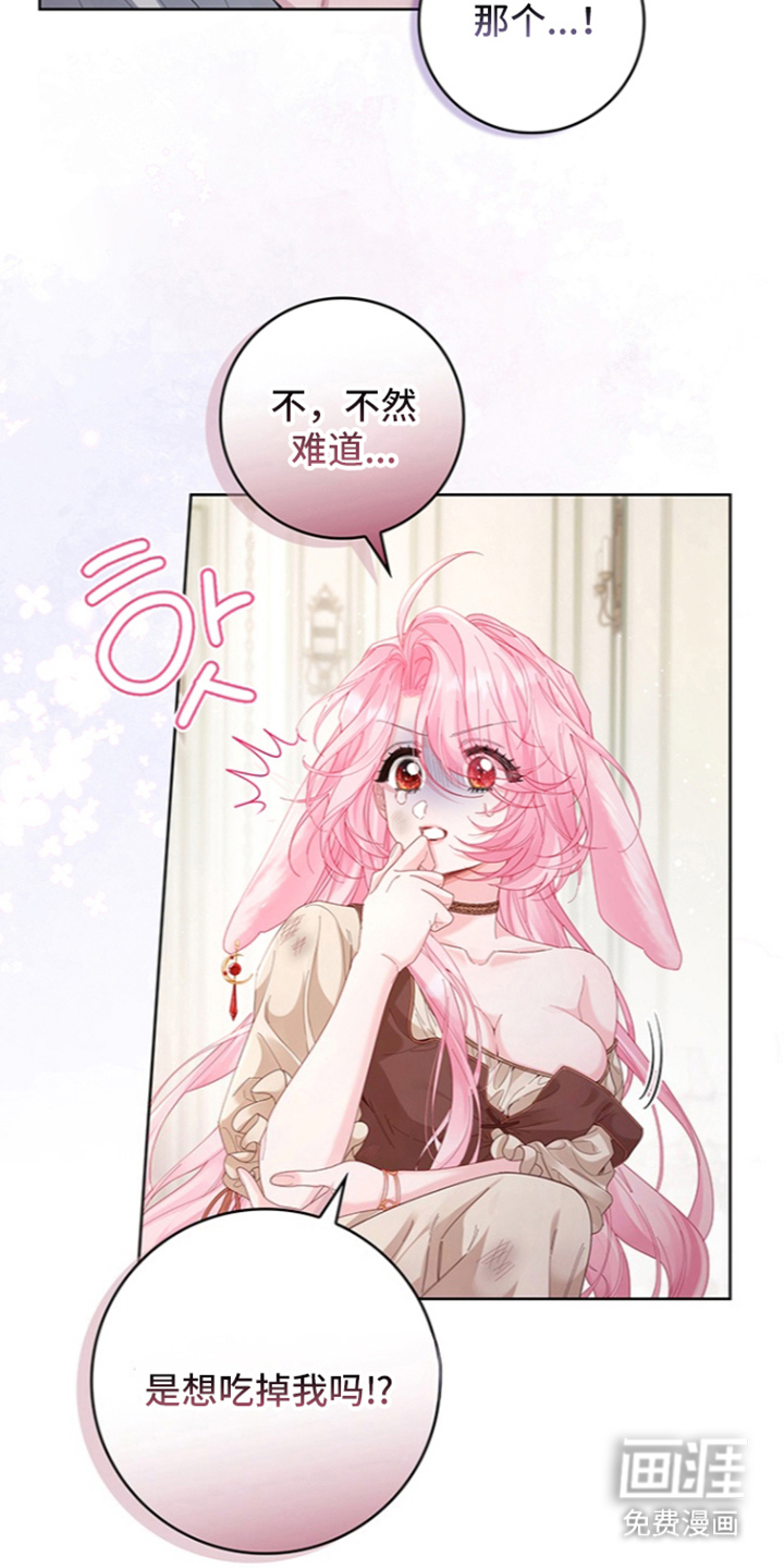黑狼公爵的兔子漫画-图19