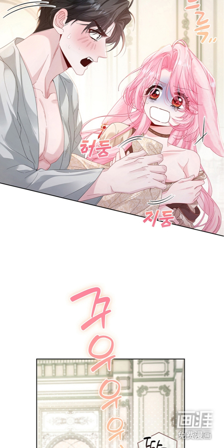 黑狼公爵的兔子漫画-图21