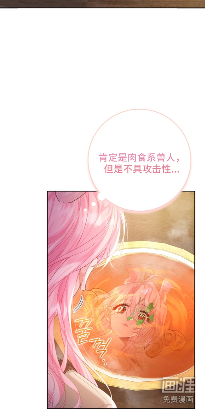 黑狼公爵的兔子漫画-图3