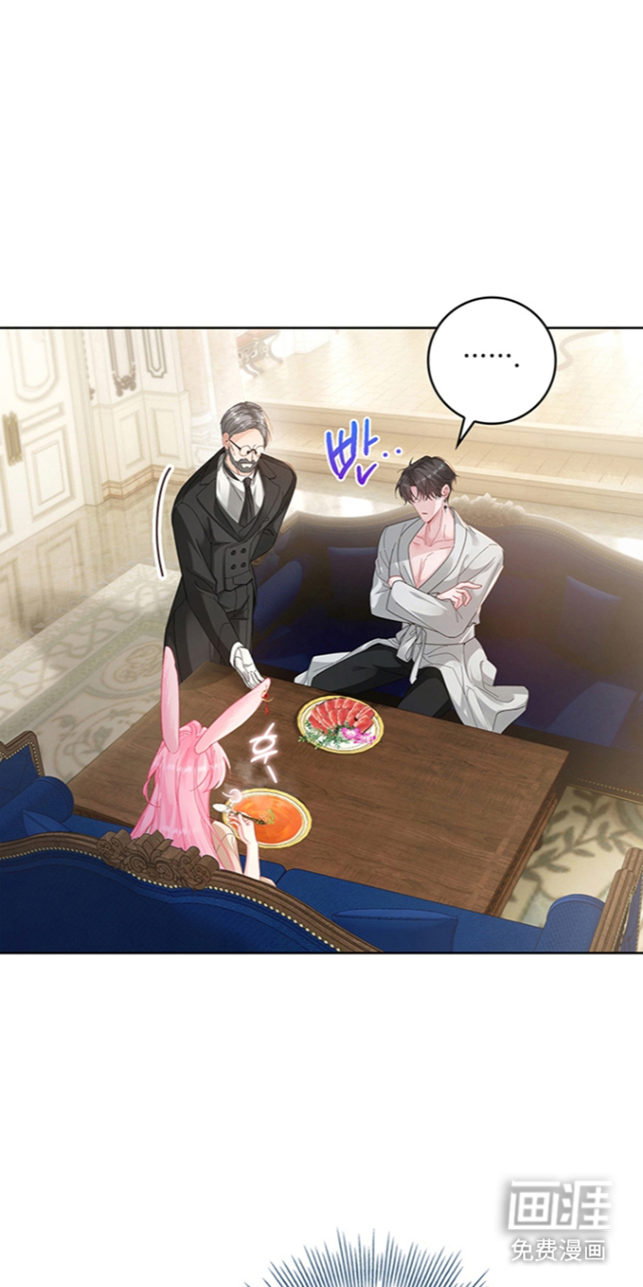 黑狼公爵的兔子漫画-图4